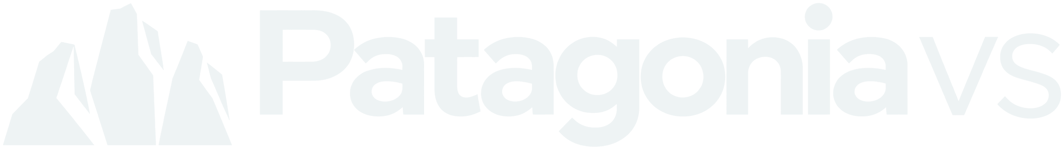 Patagonia VS